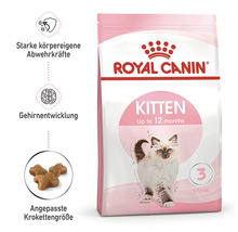 Royal Canin Kitten torrfoder för katter upp till 12 månader