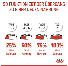 Instruktioner för att byta till ny hundmat på sju dagar