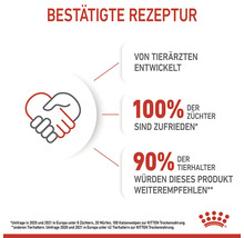 Bekräftat recept för kattmat, utvecklat av veterinärer och med höga nöjdhetsvärden