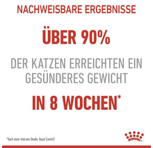 Påvisbara resultat: Över 90 % av katterna uppnådde en hälsosammare vikt på åtta veckor