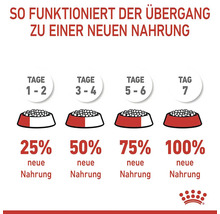 Diagram över byte till ett nytt hundfoder på sju dagar