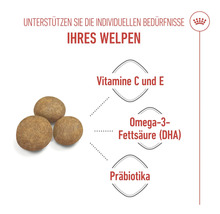 Information om vitaminer, omega 3 fettsyror och prebiotika i valpfoder.