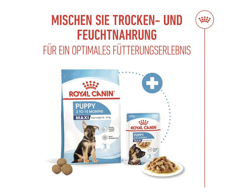 Royal Canin Puppy Maxi torrfoder och våtfoder för valpar