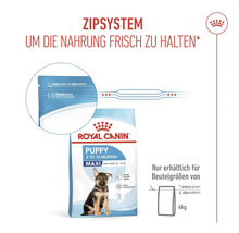 Royal Canin Logo. Förpackning för valpfoder med dragkedja för maximala rashundar från 2 till 15 månader