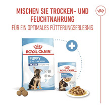 Royal Canin Puppy Maxi torrfoder och våtfoder för valpar