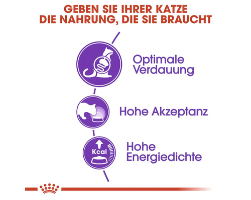 Fördelar med kattmat: Optimal matsmältning, hög acceptans, hög energitäthet