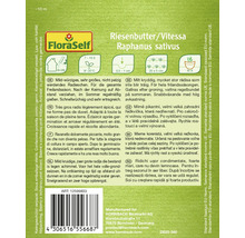 Fröförpackning Riesenbutter/Vitessa Raphanus sativus