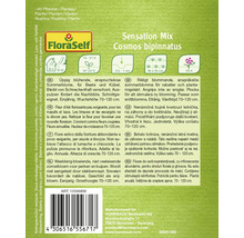 Förpackning Cosmos bipinnatus sommarblomsfrön Sensation Mix