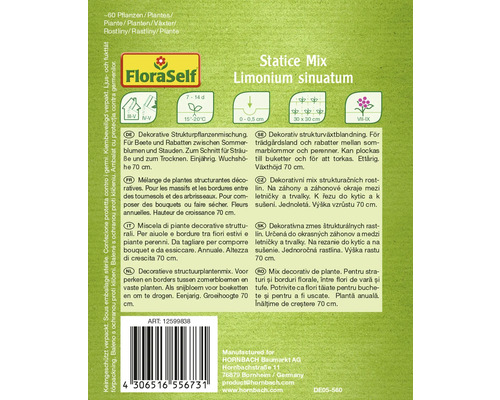 Fröförpackning Statice Mix Limonium sinuatum från FloraSelf