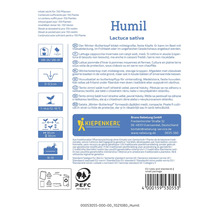 Humil vintersalladshuvud, Lactuca sativa, information om odling och egenskaper