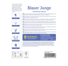 Information om blåklint Blauer Junge Centaurea cyanus