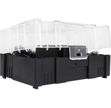 Bete box för möss med visningsfönster