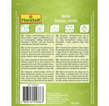 Rotin morotsfrö Daucus carota