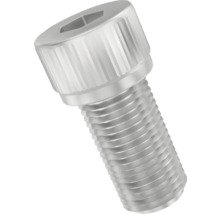 Insexskruv av metall