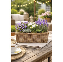 Dekorativt arrangemang av olika växter i en rektangulär korg på ett träbord