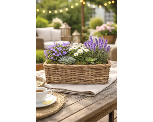 Dekorativt arrangemang av olika växter i en rektangulär korg på ett träbord