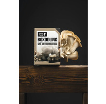 Låda med odlingsset för ostronskivling