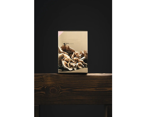 Ostronmussling odlingssats i kartongförpackning