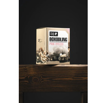 Låda med rosa ostronmussling från Fresh Fungi