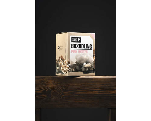 Låda med rosa ostronmussling från Fresh Fungi
