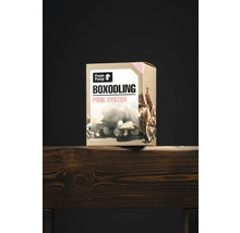 Låda för odling av rosa ostronmushrooms