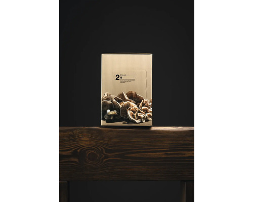 Svampodlingslåda på ett träbord