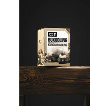 Odlingslåda kungsmussling