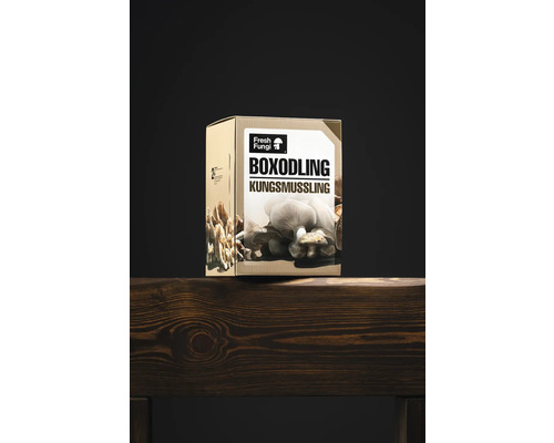 Odlingslåda kungsmussling