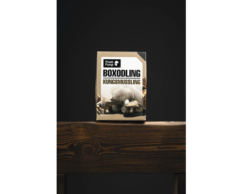 Låda för odling av kungsmussling