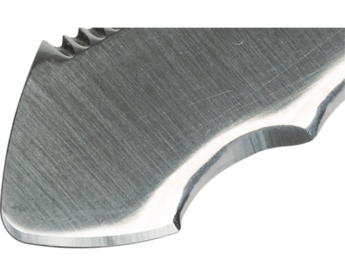 Närbild av bladet på en kniv med en tandad ovansida