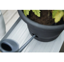 Vattenkanna fyller en blomkruka på en blomsterbänk.