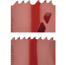 Detaljvy av en hålsåg.