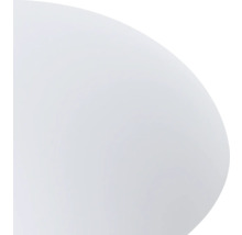 Utsnitt av en rund yta