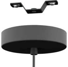 Taklampsmontering med fäste och takkopp