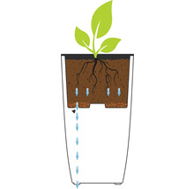 Illustration av bevattningssystemet för en blomkruka med växt