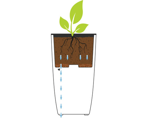 Illustration av bevattningssystemet för en blomkruka med växt