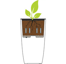 Illustration av en blomkruka med bevattningssystem och växt