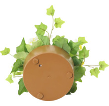 Underifrån av en planteringskruka med dekoration