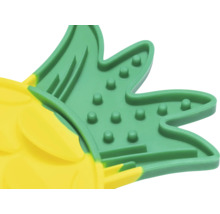 Detaljbild av en ananasmatta för husdjur