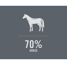 Illustration av en häst med texten 70 procent häst