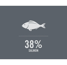 Symbolbild: 38 procent lax