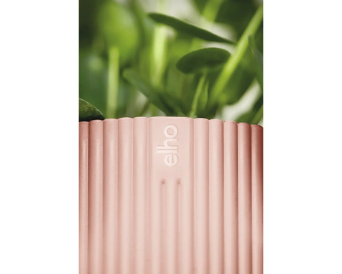 Detaljvy av en räfflad blomkruka med Elho-logotyp och växter