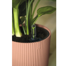 Blomkruka med vattennivåindikator