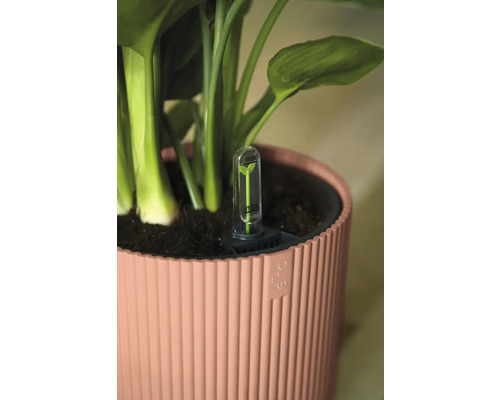 Blomkruka med vattennivåindikator
