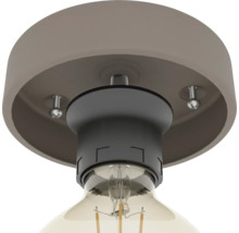 Taklampa med ljuskälla