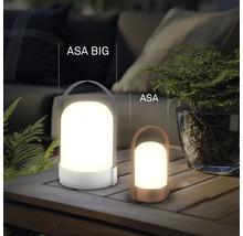 Två bärbara LED-utomhuslampor ASA BIG och ASA i olika storlekar på ett träbord i en trädgård.