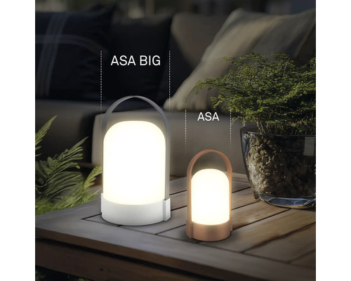 Två bärbara LED-utomhuslampor ASA BIG och ASA i olika storlekar på ett träbord i en trädgård.