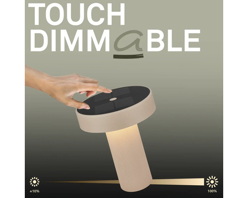 Bordslampa med touch-dimmerfunktion från cirka 10 procent till 100 procent ljusstyrka.