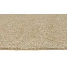 Närbild av en beige heltäckningsmatta med mjuk skuren lugg.