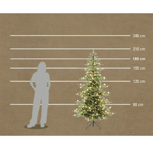 Konstgjord julgran med LED-belysning i en storleksjämförelse med en person och höjdangivelser upp till 240 centimeter.